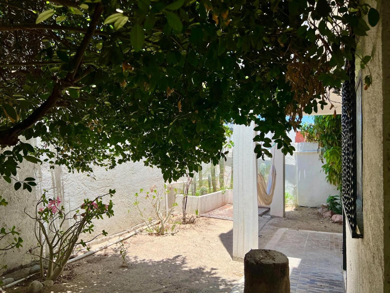Ferienwohnung La Casa Del Pescador La Paz Exterior foto